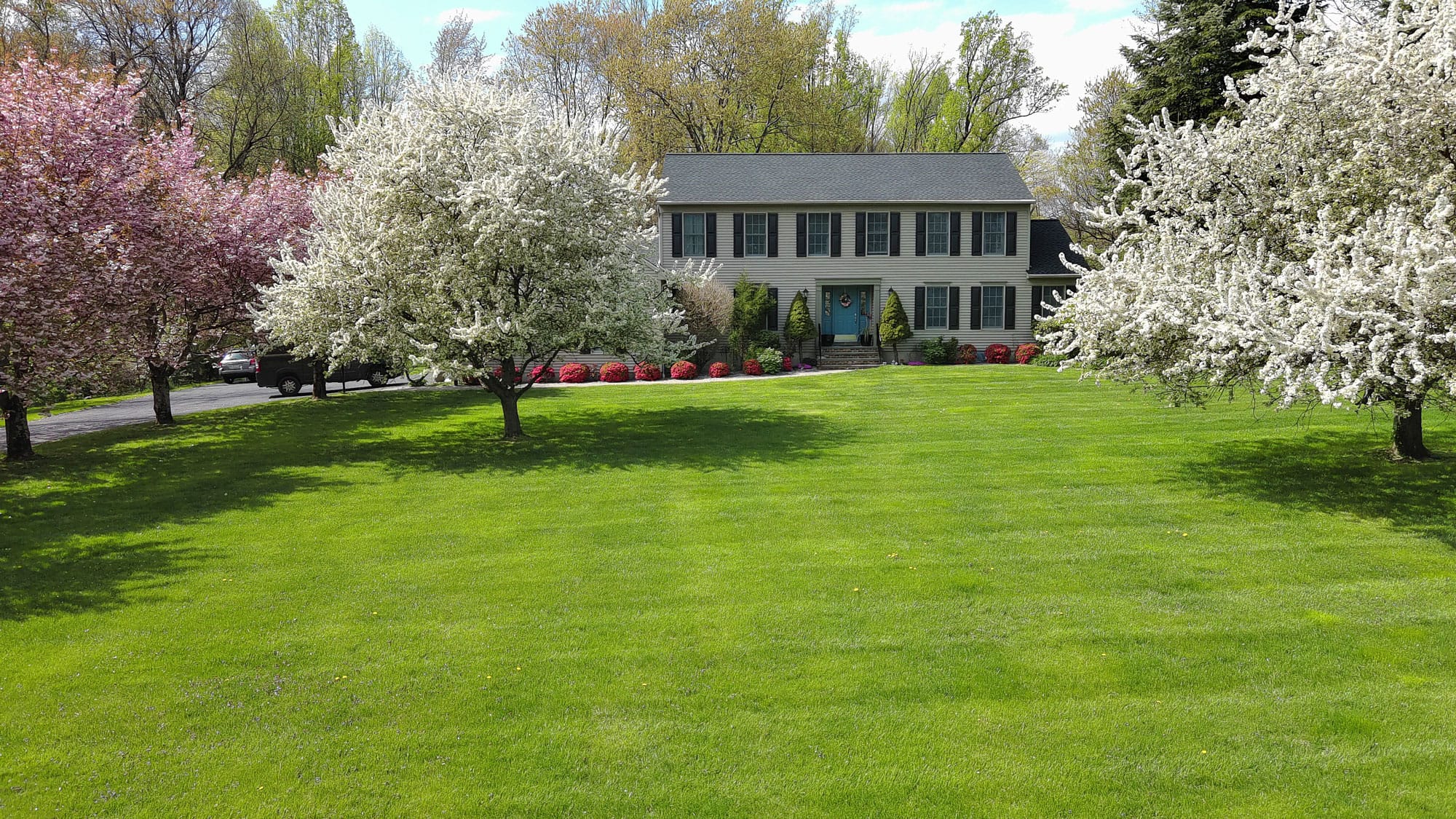 Freshly maintained green lawn